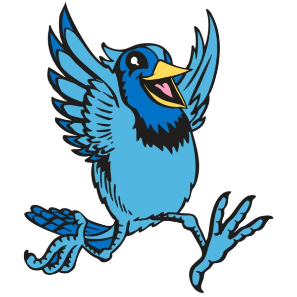 BAW BLUEJAY 09 RC Thumbnail