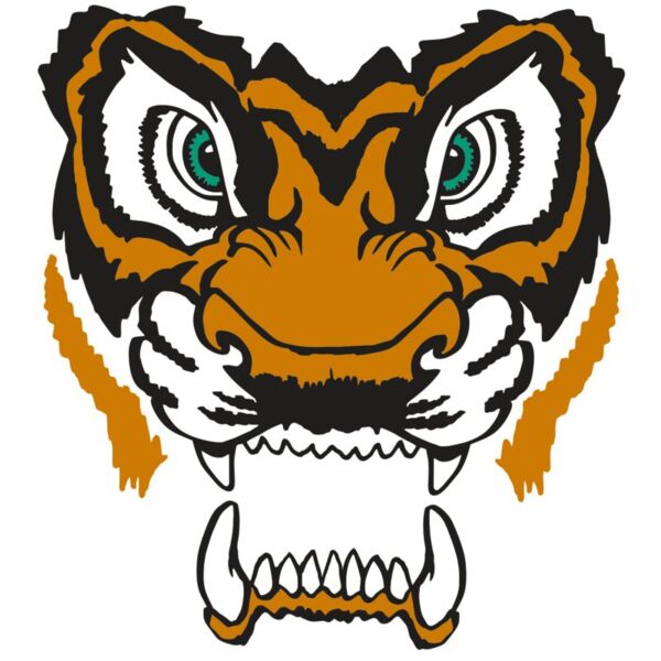 AR TIGER 11 RC Thumbnail